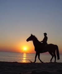 ANDAR A CAVALO